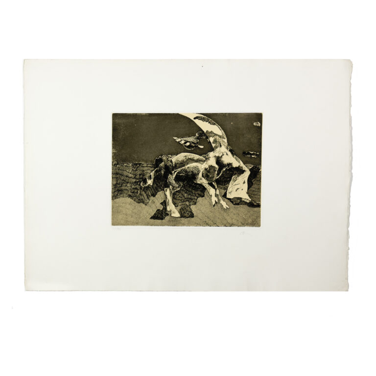 bolli_romiti_2023_maggio_asta_73_lotto_470