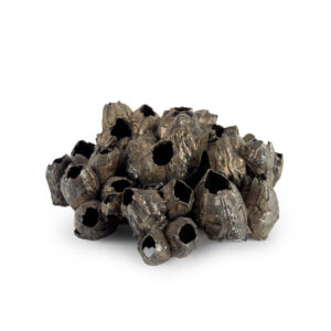 bolli_romiti_2025_marzo_asta_91_lotto_255